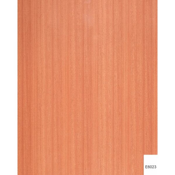 VÁN PHỦ MELAMINE E6023