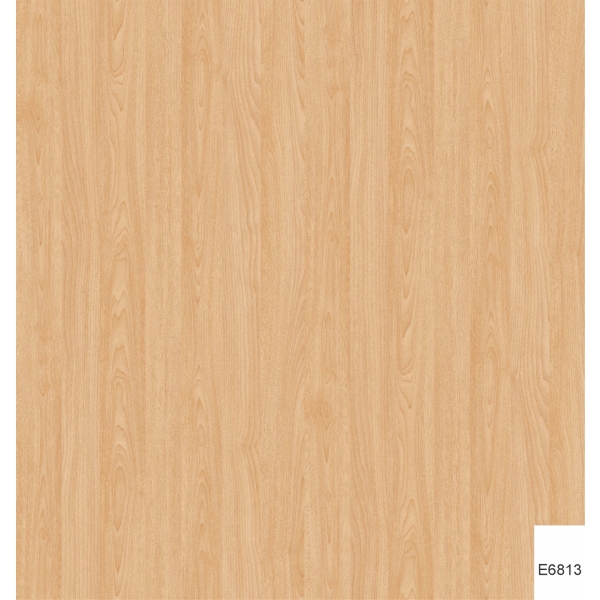 VÁN PHỦ MELAMINE E6813