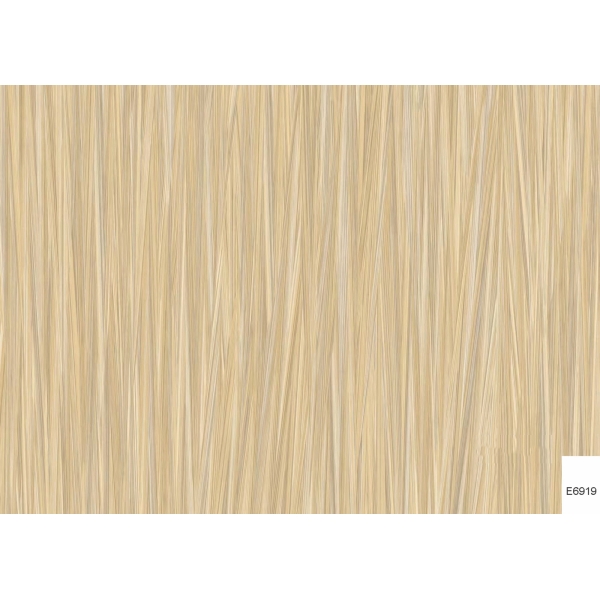 VÁN PHỦ MELAMINE E6919