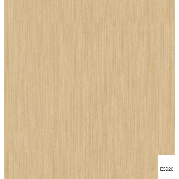 VÁN PHỦ MELAMINE E6920